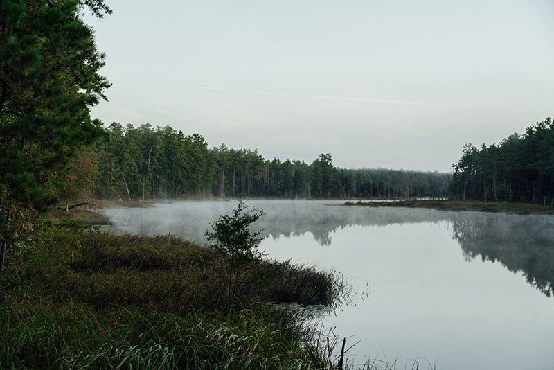 New Jersey Wildlife Regulated Areas , Explore Wharton State Forest: Hiking, Boating, Camping, and History in South Jersey